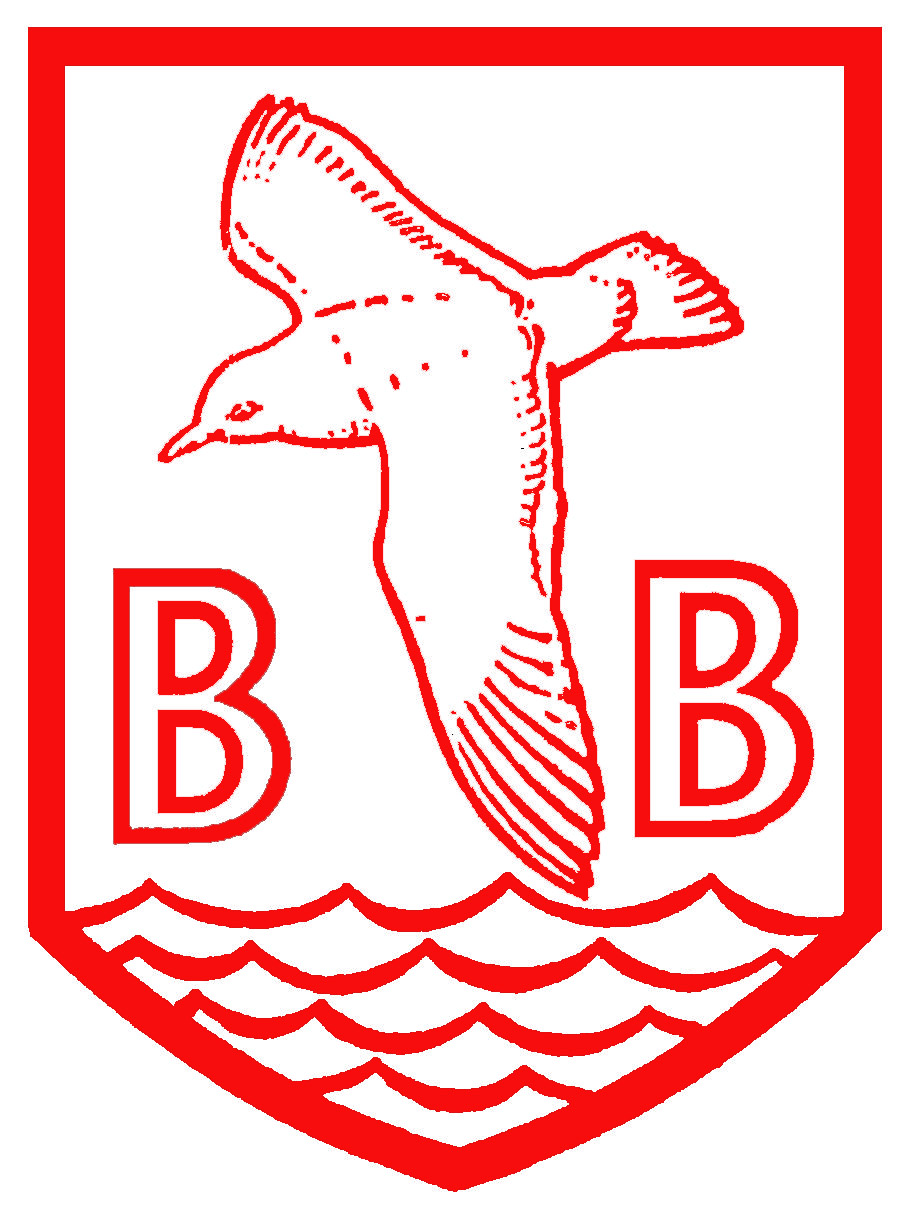 Copy of LOGO - BURTON BRADSTOCK.jpg