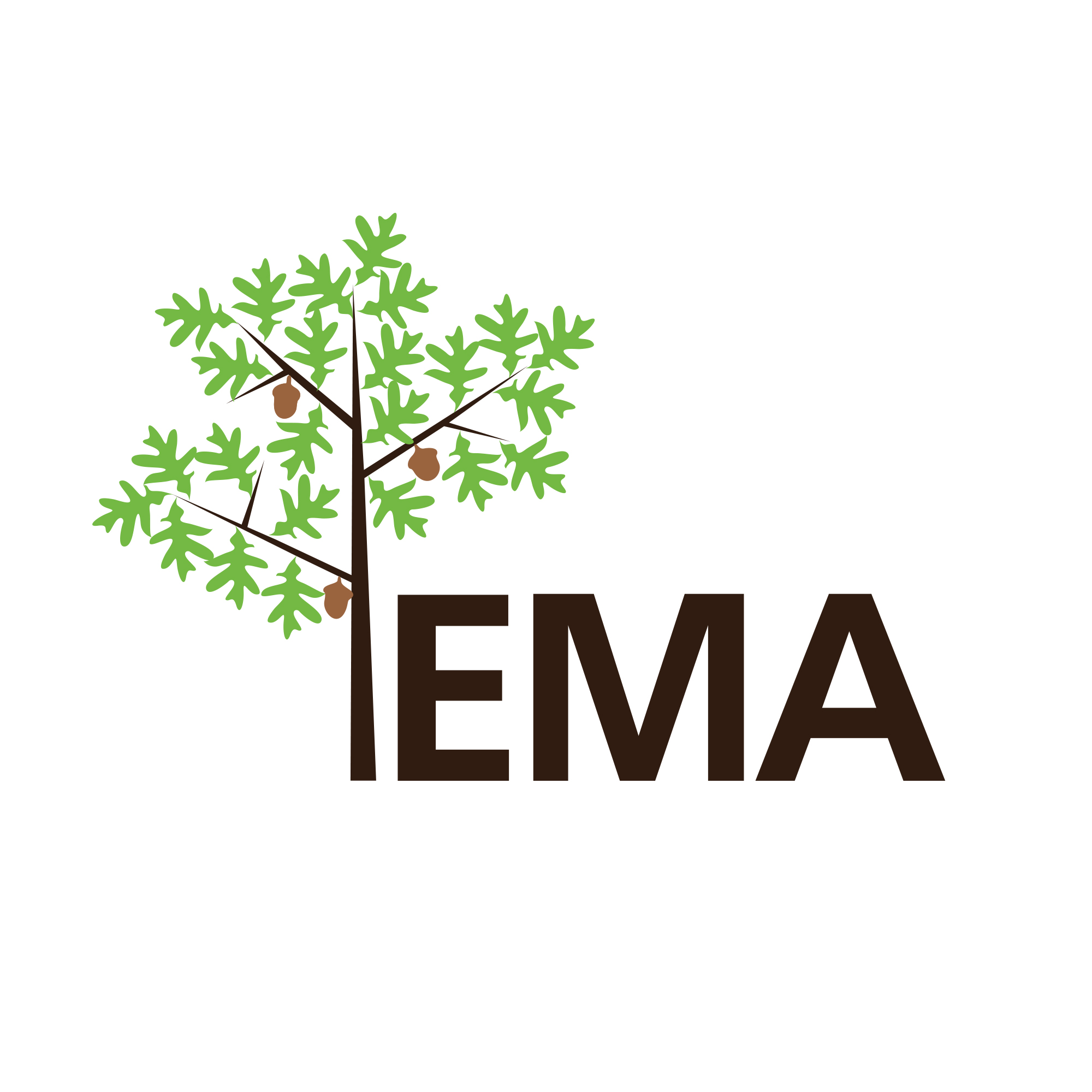 EMA Logo 2024 square.jpg